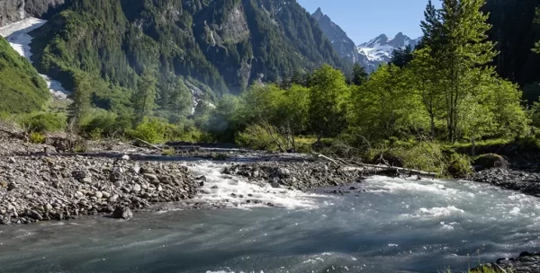 Our guide to DIY Washington State Fly Fishing: Trout, and Steelhead. Explore the Olympic Peninsula and the Cascade's for Trout and Steelhead