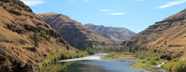 Picture this: You're knee-deep in a crystal-clear Oregon river, fly rod in hand, as the sun peeks over the misty mountains. Suddenly, your line goes taut. A monster steelhead thrashes on the other end, putting your skills to the ultimate test. This is what Oregon fly fishing is all about, folks. I've been chasing these elusive beauties across Oregon's rivers and streams for decades now. And let me tell you, whether you're after hard-fighting bass, wily trout, or heart-stopping salmon, this state has it all. Oregon isn't just a fly fishing destination - it's THE destination. Grab your waders and trusty fly box, and get ready for an unforgettable Oregon fly fishing adventure. With fierce fish, stunning landscapes, and memories that'll last forever, you're in for the trip of a lifetime.