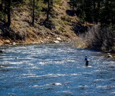 Secrets to unforgettable Nevada fly fishing DIY adventure with our ultimate guide. Get insider tips, top spots, and proven techniques, with Saltwater on the fly.