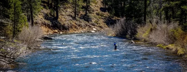 Secrets to unforgettable Nevada fly fishing DIY adventure with our ultimate guide. Get insider tips, top spots, and proven techniques, with Saltwater on the fly.