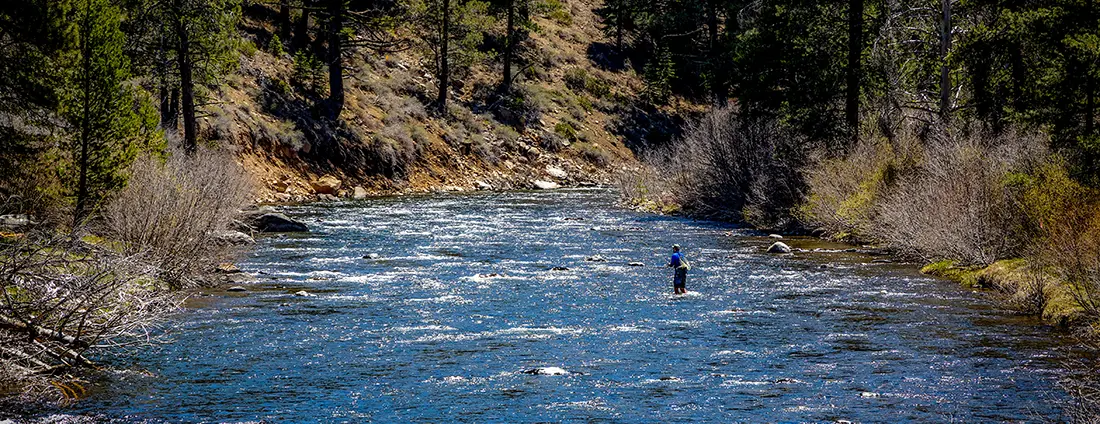 Secrets to unforgettable Nevada fly fishing DIY adventure with our ultimate guide. Get insider tips, top spots, and proven techniques, with Saltwater on the fly.