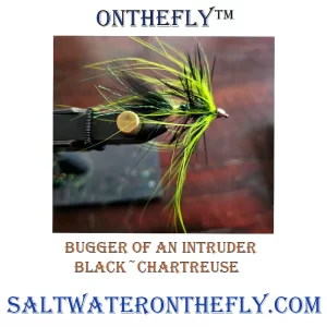 Intruder Black / Chartreuse Bugger Chartreuse flash in tail, Ice straggle butt chartreuse, and chartreuse spey hackle.  Great for trout and steelhead. Saltwater on the fly