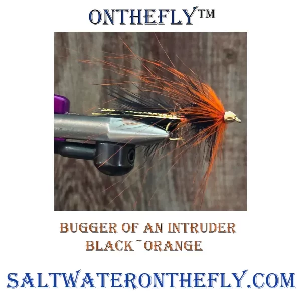 Intruder Black / Orange Bugger great for swinging for brown trout and steelhead. Saltwater on the fly