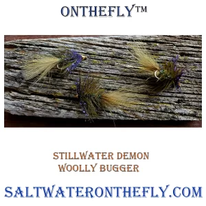 Stillwater Demon Woolly Bugger My go to streamer on the Stillwater River in Montana. This pattern is also used on lots of Lakes for bass to trout, they all seem to like it.  Saltwater on the fly