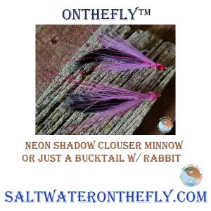 Neon Shadow Clouser Minnow. Saltwater on the Fly