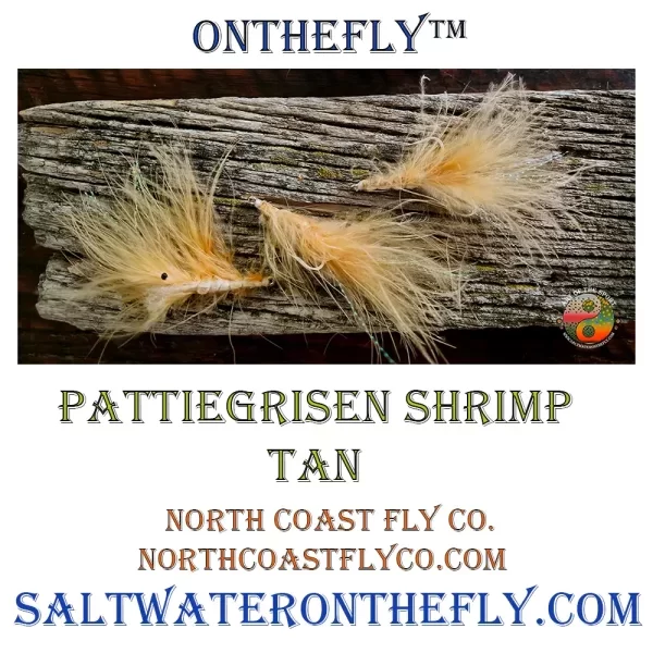 Pattiegrisen Shrimp Tan