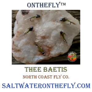 Thee Baetis, Saltwater on the fly