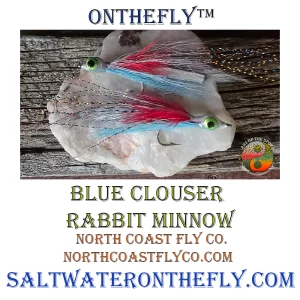 Blue Clouser Minnow, Saltwater on the fly