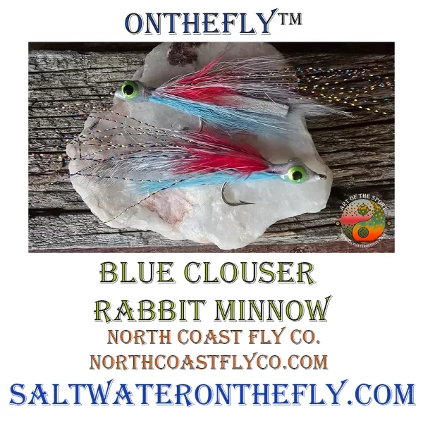 Blue Clouser Minnow