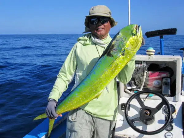 Mahi Mahi Fly Fishing Palapas Ventana