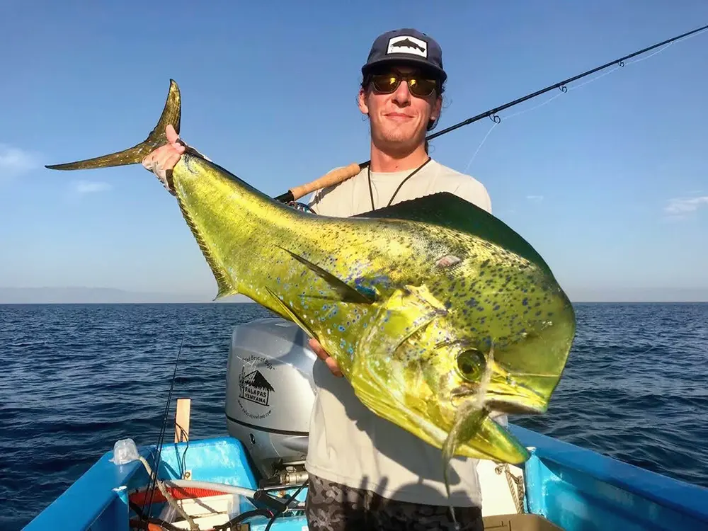 Fly Fishing Mahi Mahi