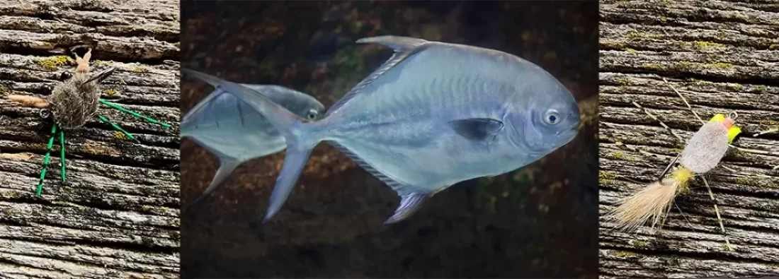 Top 20 Permit Flies, at Saltwater on the Fly.