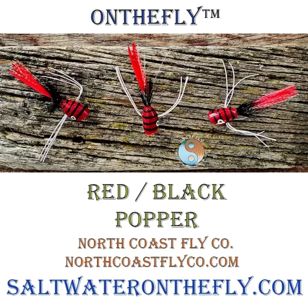 Red Black Popper, saltwater on the fly