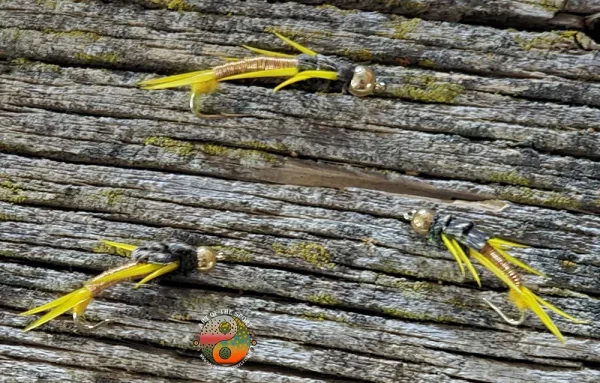 Copper Wired Stonefly, Saltwater on the fly