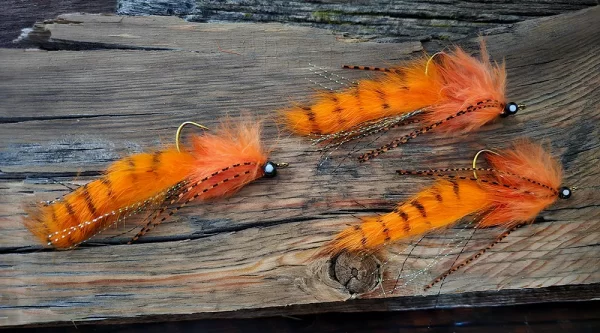 Crawfish Orange Bunny Leech Pike to Brown Trout With a few bass reaching the net as well.