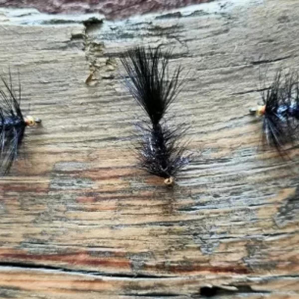 Brass Beadhead Black Woolly Bugger