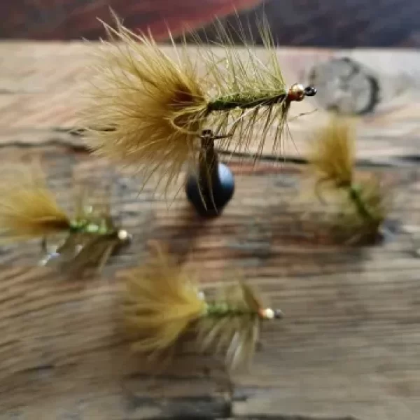 Brass Beadhead Olive Woolly Bugger