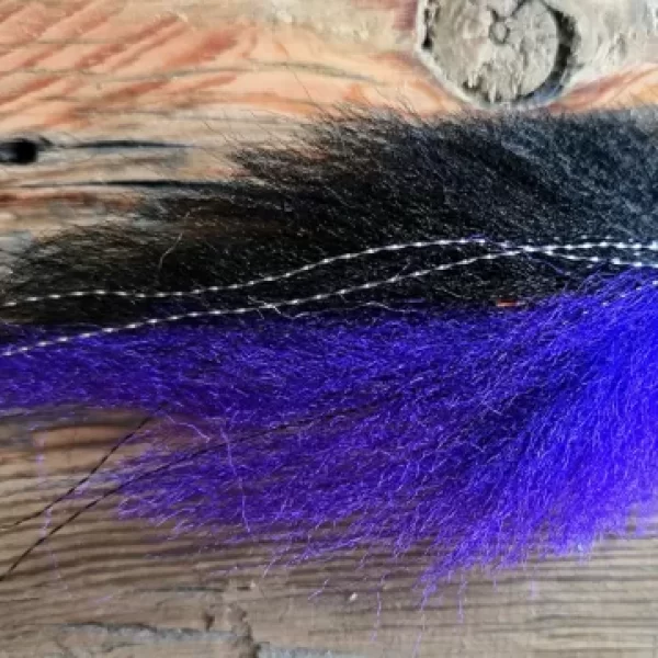 Black Purple Pelagic Forger Minnow