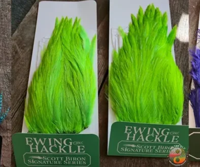 Ewing Hackle, Saltwater on the Fly.