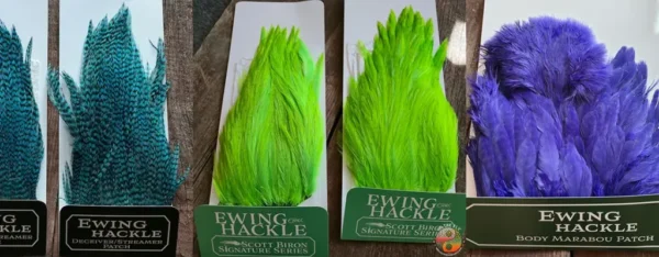 Ewing Hackle, Saltwater on the Fly.