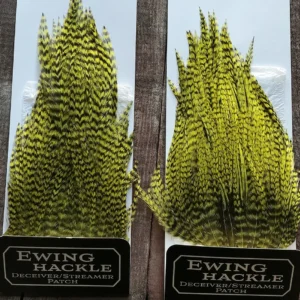 Yellow Chartreuse Grizzly Deceiver Streamer Patch Ewing Fly Tying Hackle, Saltwater on the Fly.