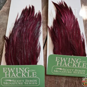 Claret Scott Biron Signature Series, Ewing Fly Tying Hackle, Saltwater on the Fly.