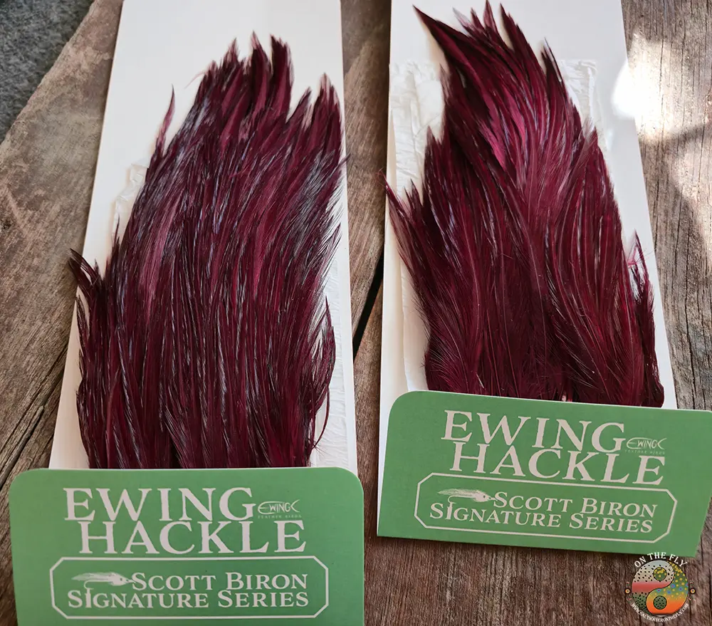 Claret Scott Biron Signature Series, Ewing Fly Tying Hackle, Saltwater on the Fly.