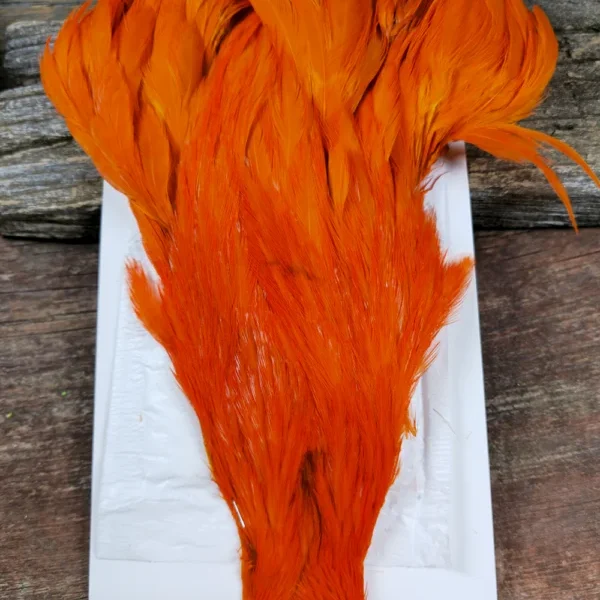 Orange Hen Cape