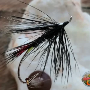 Green Butt Skunk Spey tied on a Alec Jackson size 3 Nickel Hook, Saltwater on the fly.