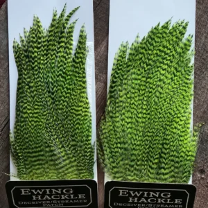 Ewing Green Chartreuse Grizzly Deceiver Patch