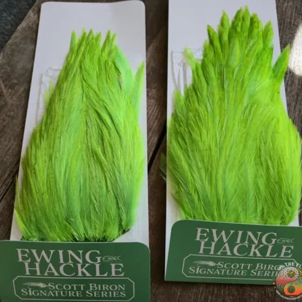 Green Chartreuse Scott Biron Signature Series