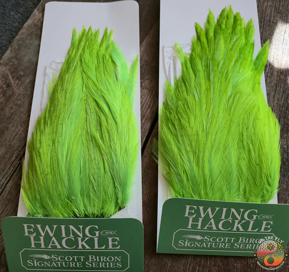 Green Chartreuse Scott Biron Signature Series Ewing Fly Tying Hackle, Saltwater on the Fly