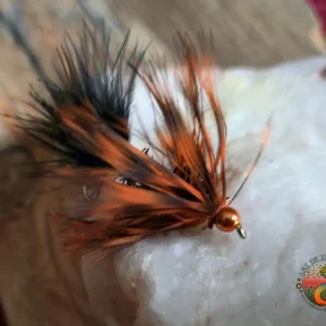 Hallow's Eve a Fall Favorite