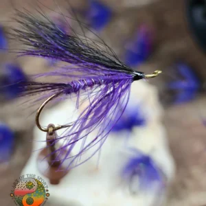 Size 5 Alec Jackson Spey Hook, Mallard Dyed Purple Hackle, Saltwater on the Fly.