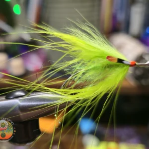 Chartreuse Screamer Spey, saltwater on the fly.