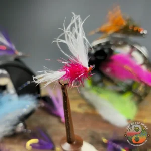 Salmon-Steelie Egg, Saltwater on the Fly