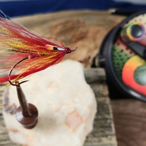 Autumn Day Spey, Saltwater on the Fly.