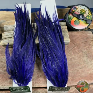 Ewing Hackle Deep Purple Grizzly Schlappen, Saltwater on the fly.