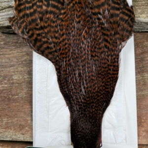 Ewing Hackle Cinnamon Grizzly Hen Cape, Saltwater on the fly.