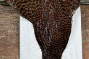 Ewing Hackle Grizzly Hen Cape Cinnamon 1. 2 Ewing Hackle Cinnamon Grizzly Hen Cape, Saltwater on the fly.