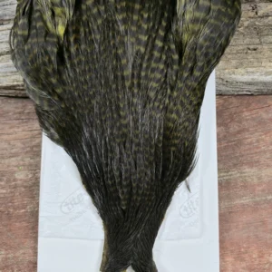 Ewing Hackle Dark Olive Grizzly Hen Cape, Saltwater on the Fly.