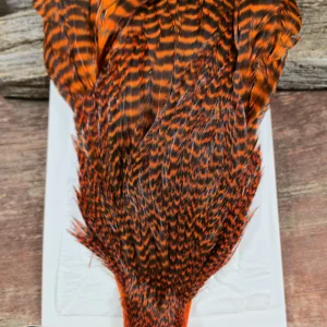 Ewing Hackle Grizzly Hen Cape Orange, Saltwater on the fly.