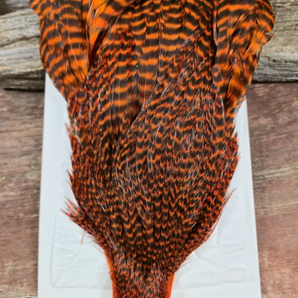 Orange Grizzly Hen Cape