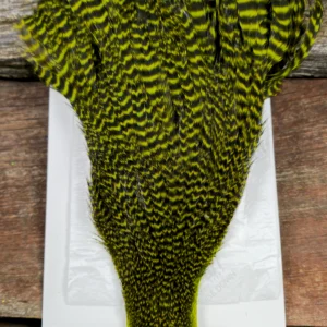 Ewing Hackle Yellow Chartreuse Grizzly Hen Cape, Saltwater on the Fly.