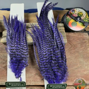 Ewing Hackle Bright Purple Grizzly Schlappen, Saltwater on the fly.