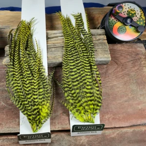 Ewing Hackle Yellow Chartreuse Grizzly Schlappen, Saltwater on the Fly.