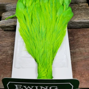 Ewing Hackle Green Chartreuse Hen Cape, Saltwater on the Fly.