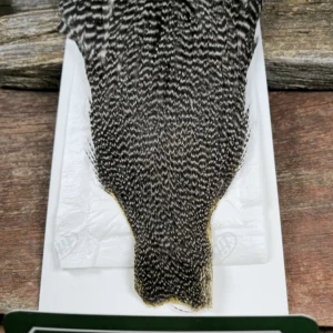 Ewing Hackle Grizzly Hen Cape, Saltwater on the Fly.