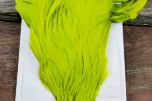 Ewing Hackle Hen Cape Yellow Chartreuse 1. 3 Ewing Hackle Yellow Chartreuse Hen Cape, Saltwater on the fly.