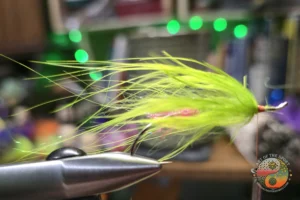 Fl. Pink Butt Chartreuse Screamer 2. 3